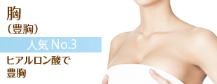 人気 No.4 胸(豊胸)