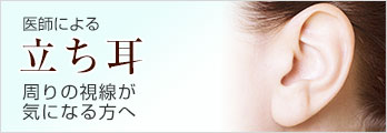 立ち耳